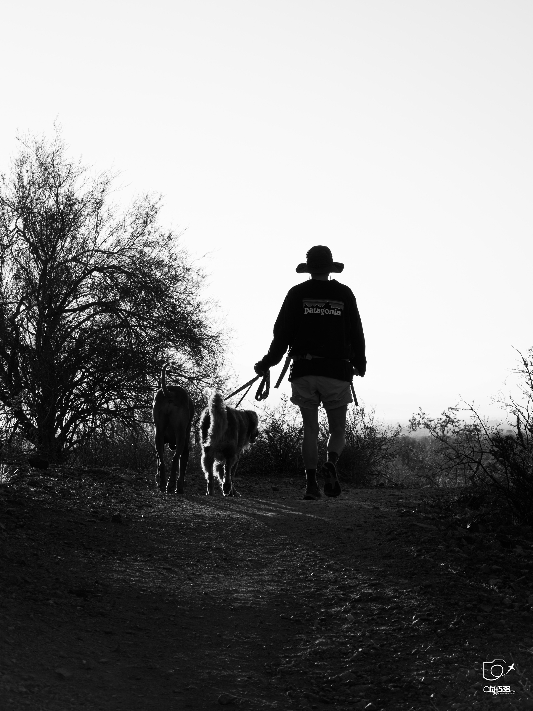 Auto-generated description: A person wearing a broad hat walks two dogs along a dirt path in a black and white setting.