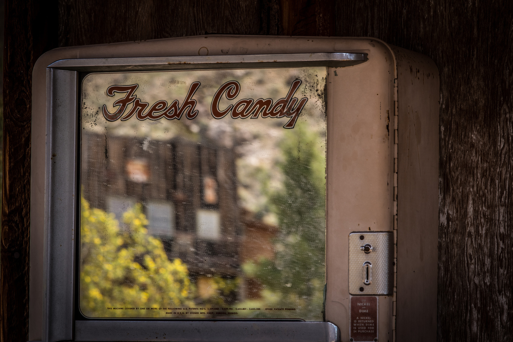 Auto-generated description: A vintage vending machine labeled Fresh Candy stands against a textured wooden wall with a blurred outdoor reflection on its glass.