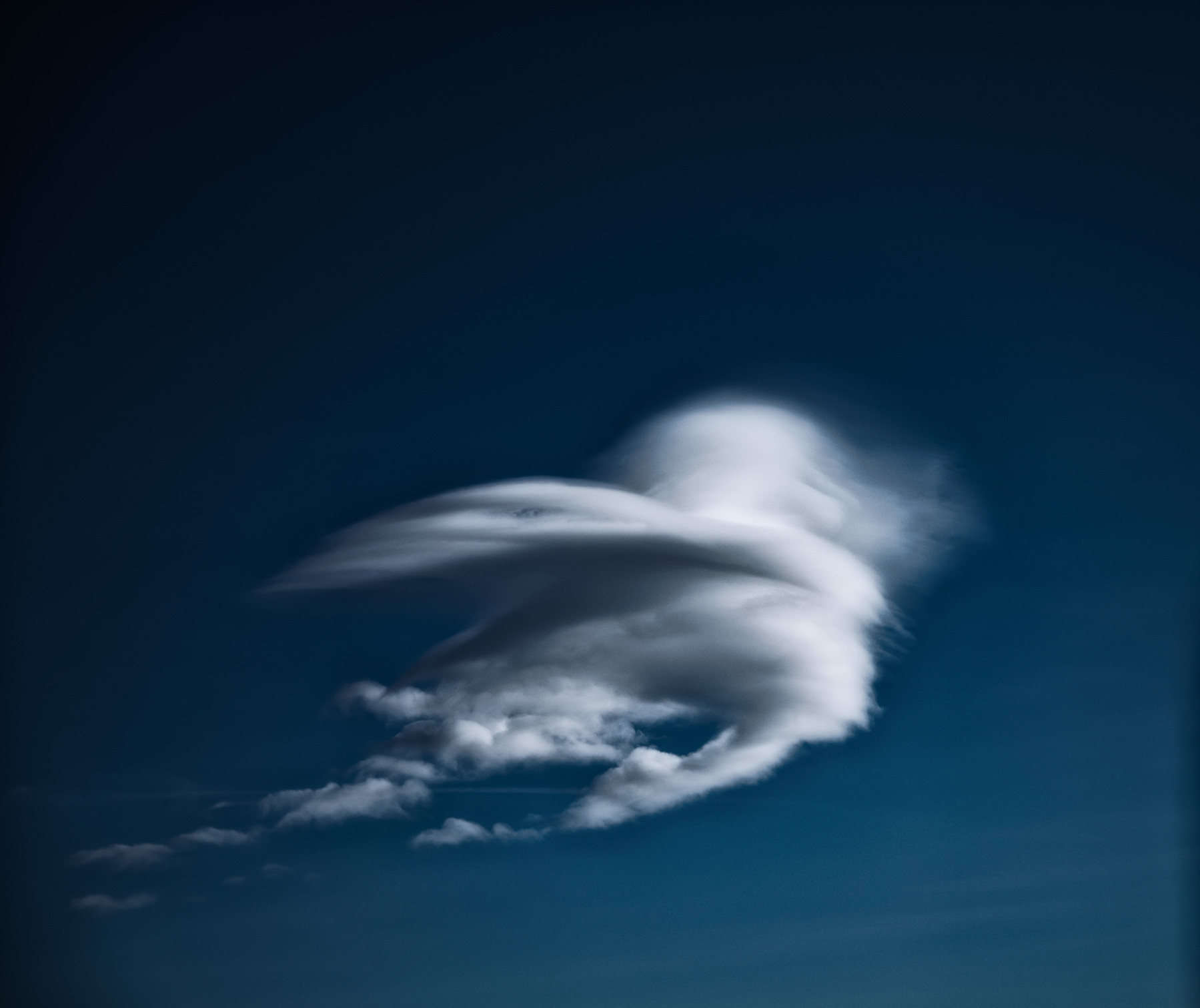 Auto-generated description: A cloud in the sky resembles the form of a bird in flight against a deep blue background.