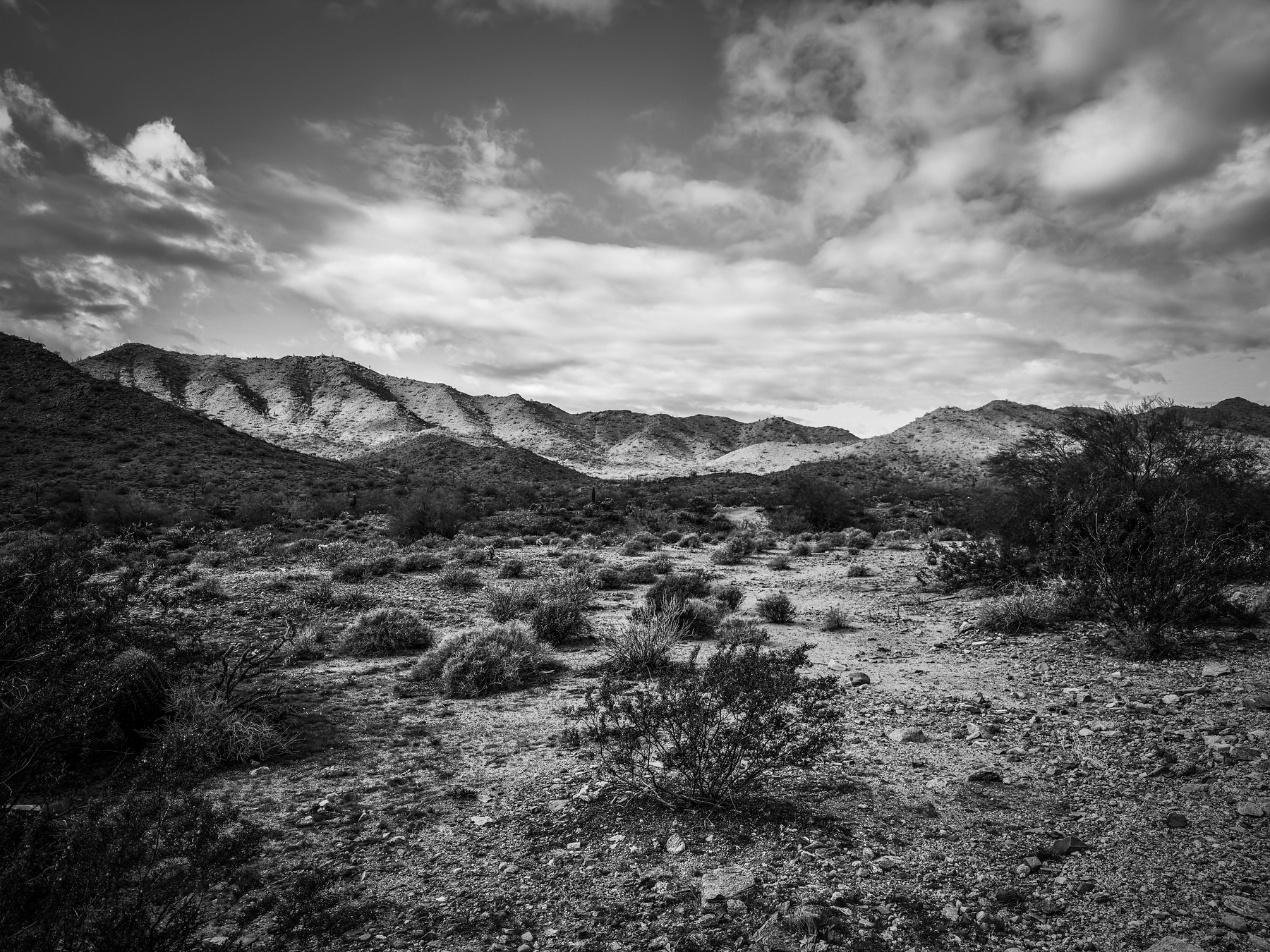 A black and white landscape depicts a rugged desert scene with distant mountains under a partly cloudy sky.