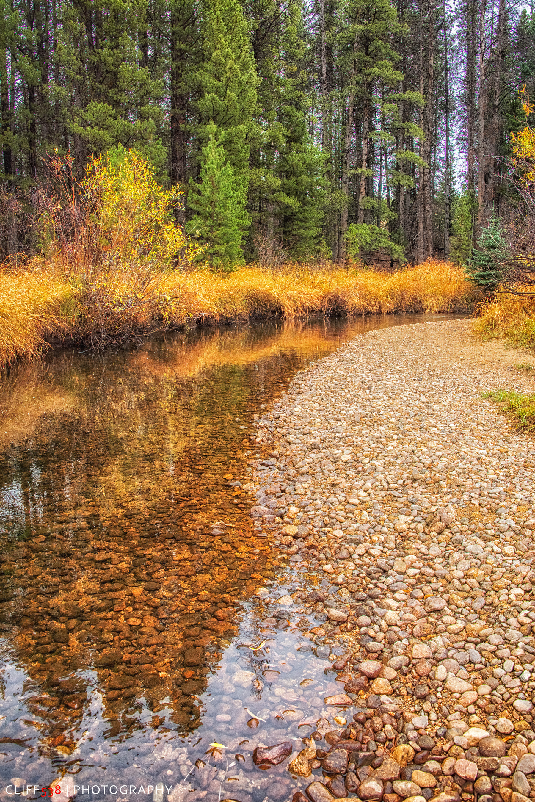 Auto-generated description: A clear, rocky stream winds through a forest with autumn foliage reflecting in the water.