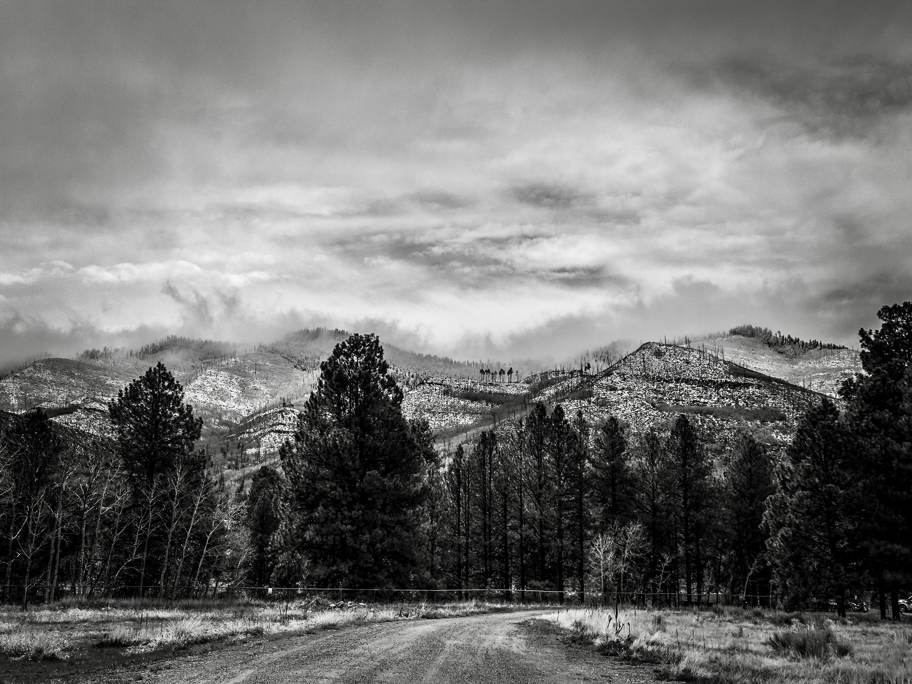 Auto-generated description: A gravel road leads through a forest towards snow-dusted mountains under a moody, cloudy sky.