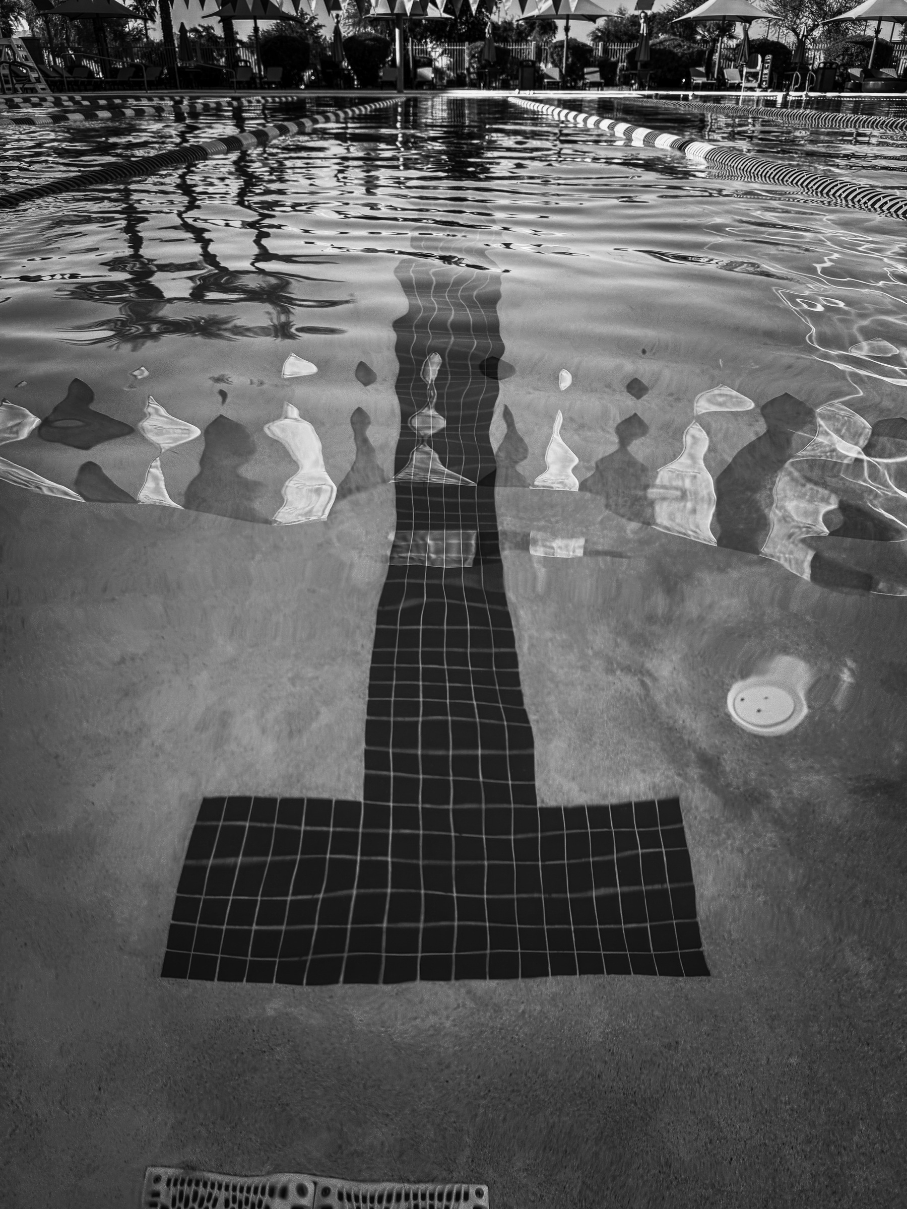 Auto-generated description: A black and white view of a swimming pool features a tiled lane marker visible beneath the rippling water.