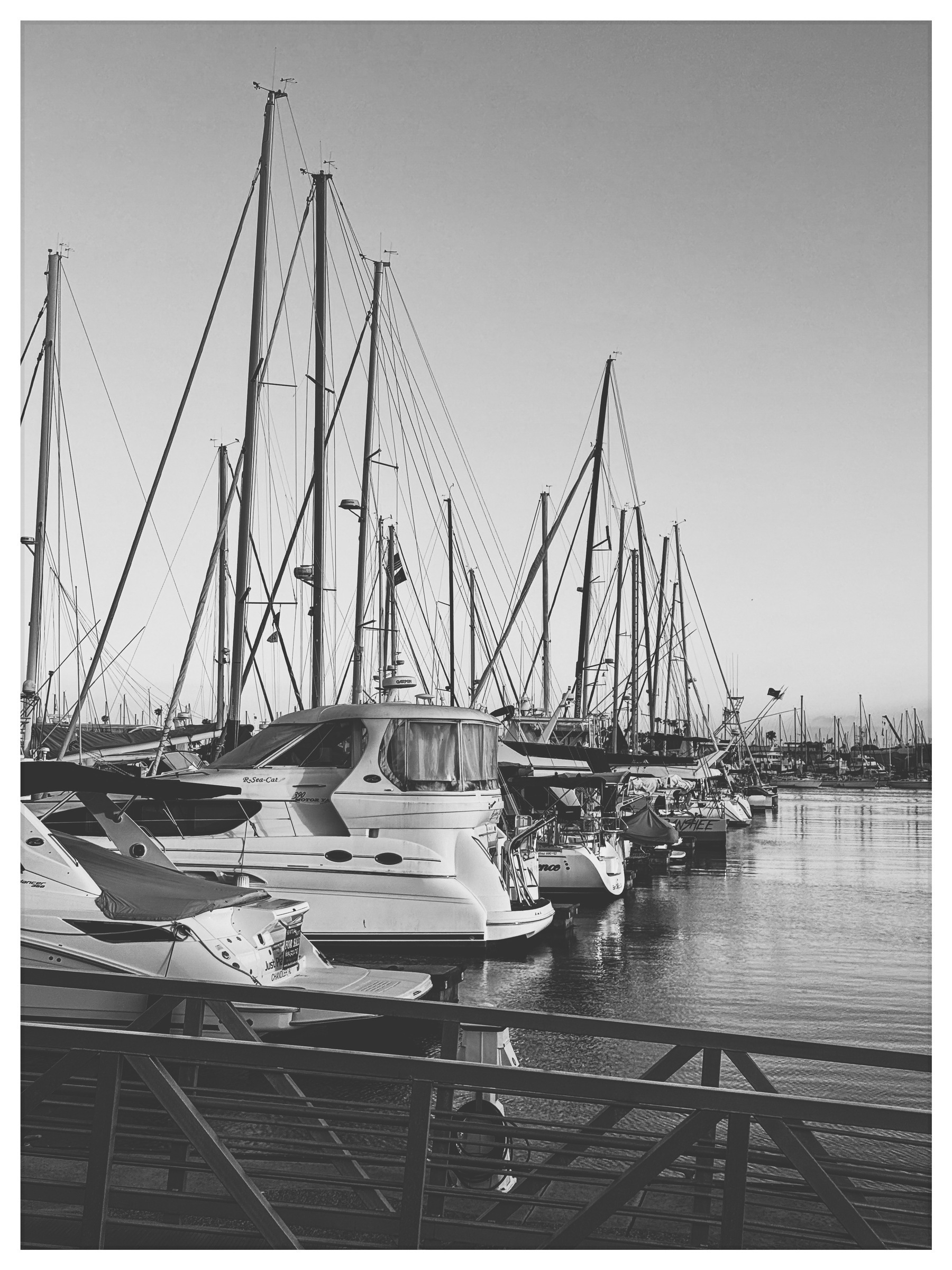 Auto-generated description: A black and white photo of several sailboats docked at a marina with tall masts.