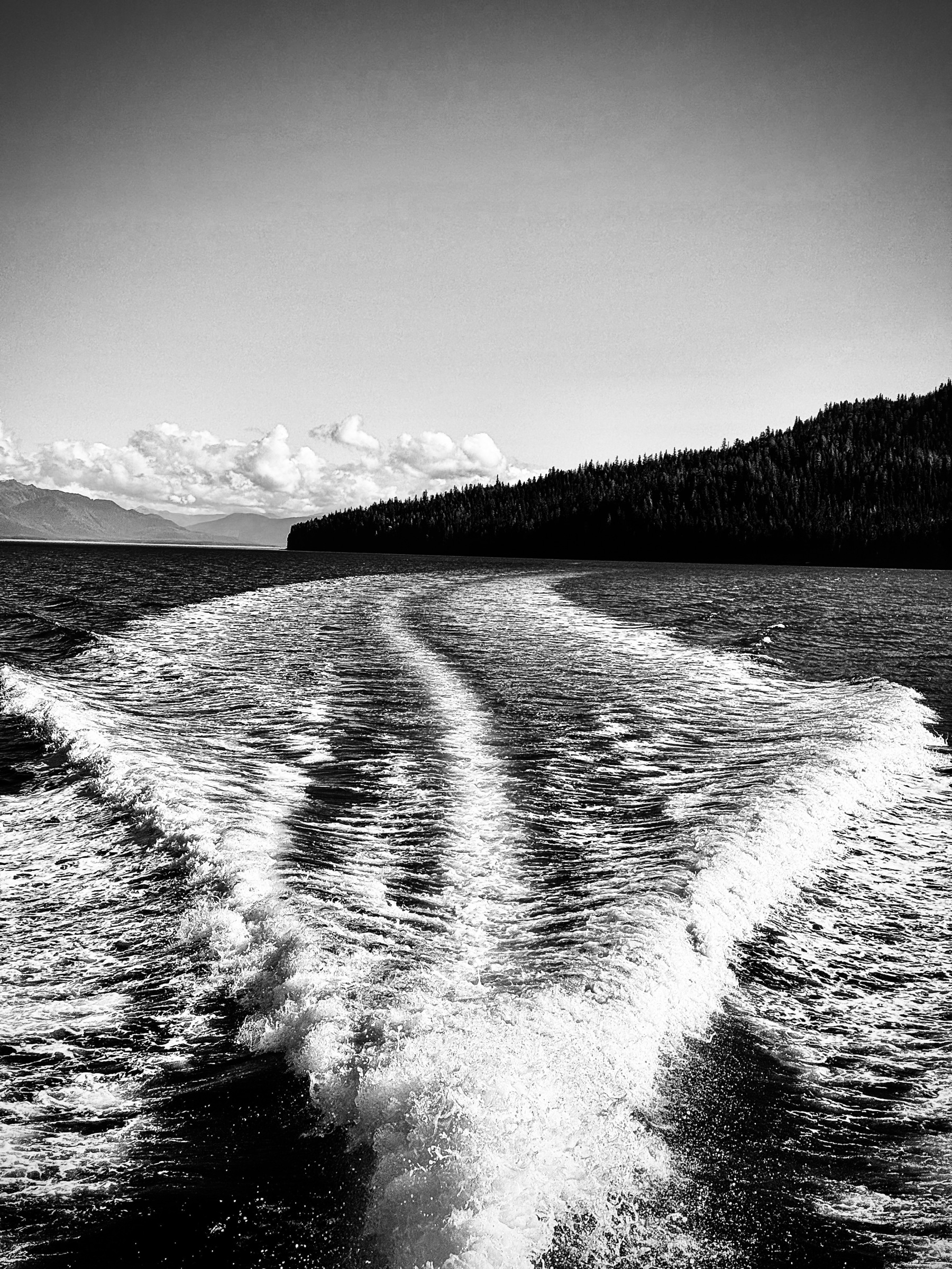 Auto-generated description: A boat leaves a wake on a vast body of water, with a forested shoreline and mountains in the background under a clear sky.
