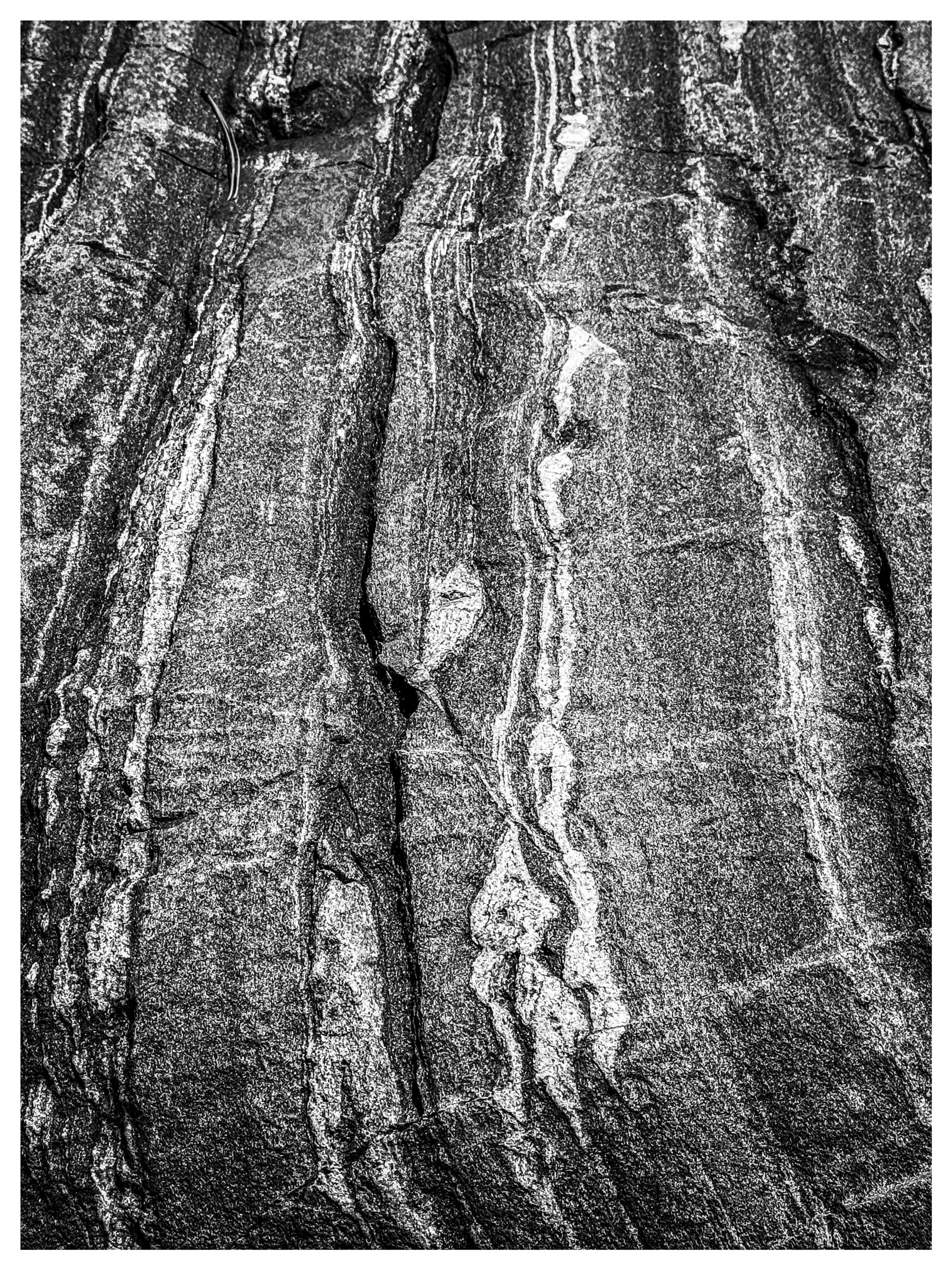 Auto-generated description: A black and white photograph of a rock surface with distinctive wavy, layered patterns and textures.