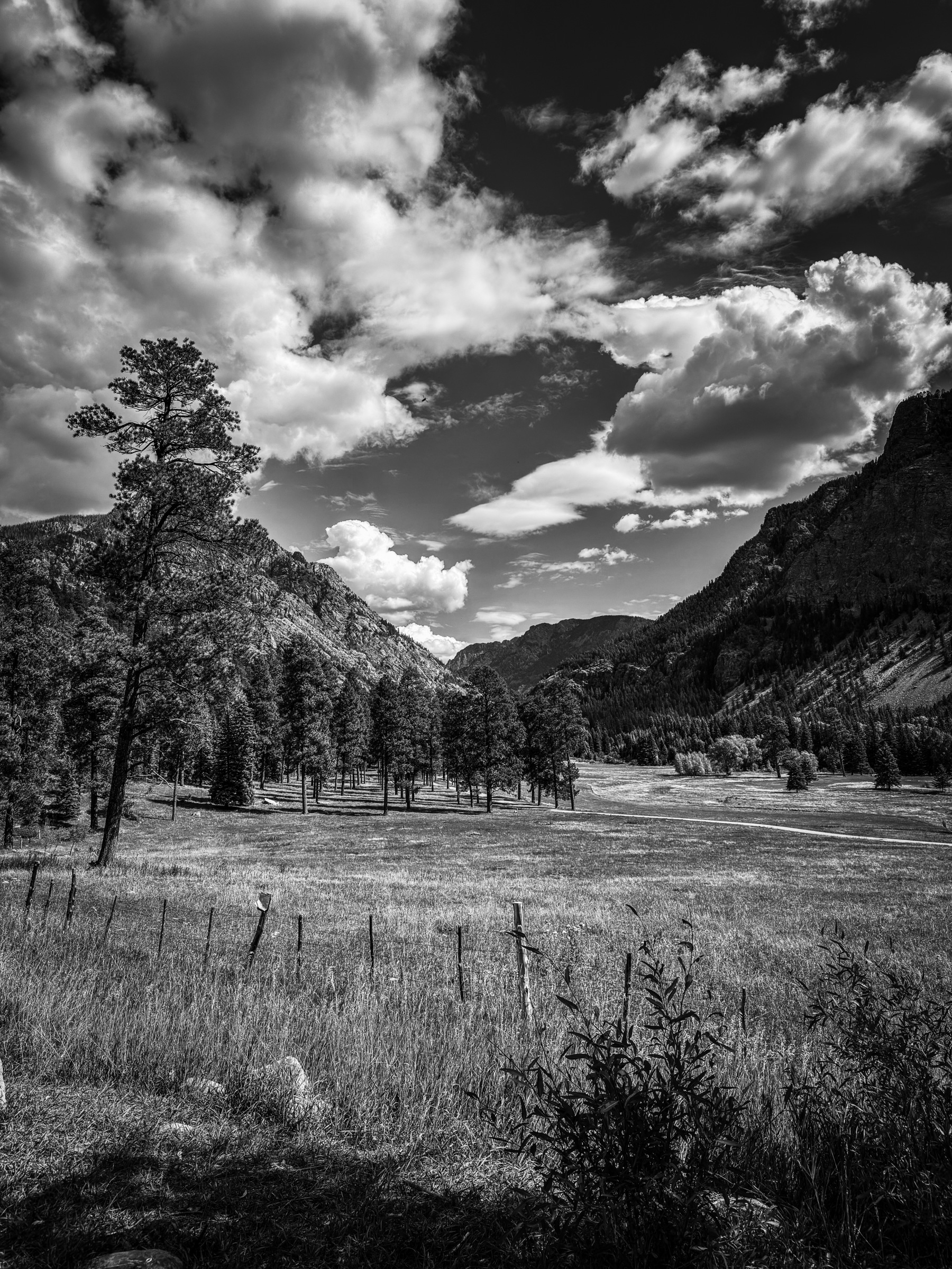 A black and white landscape features a grassy valley surrounded by mountains and a sky filled with clouds.
