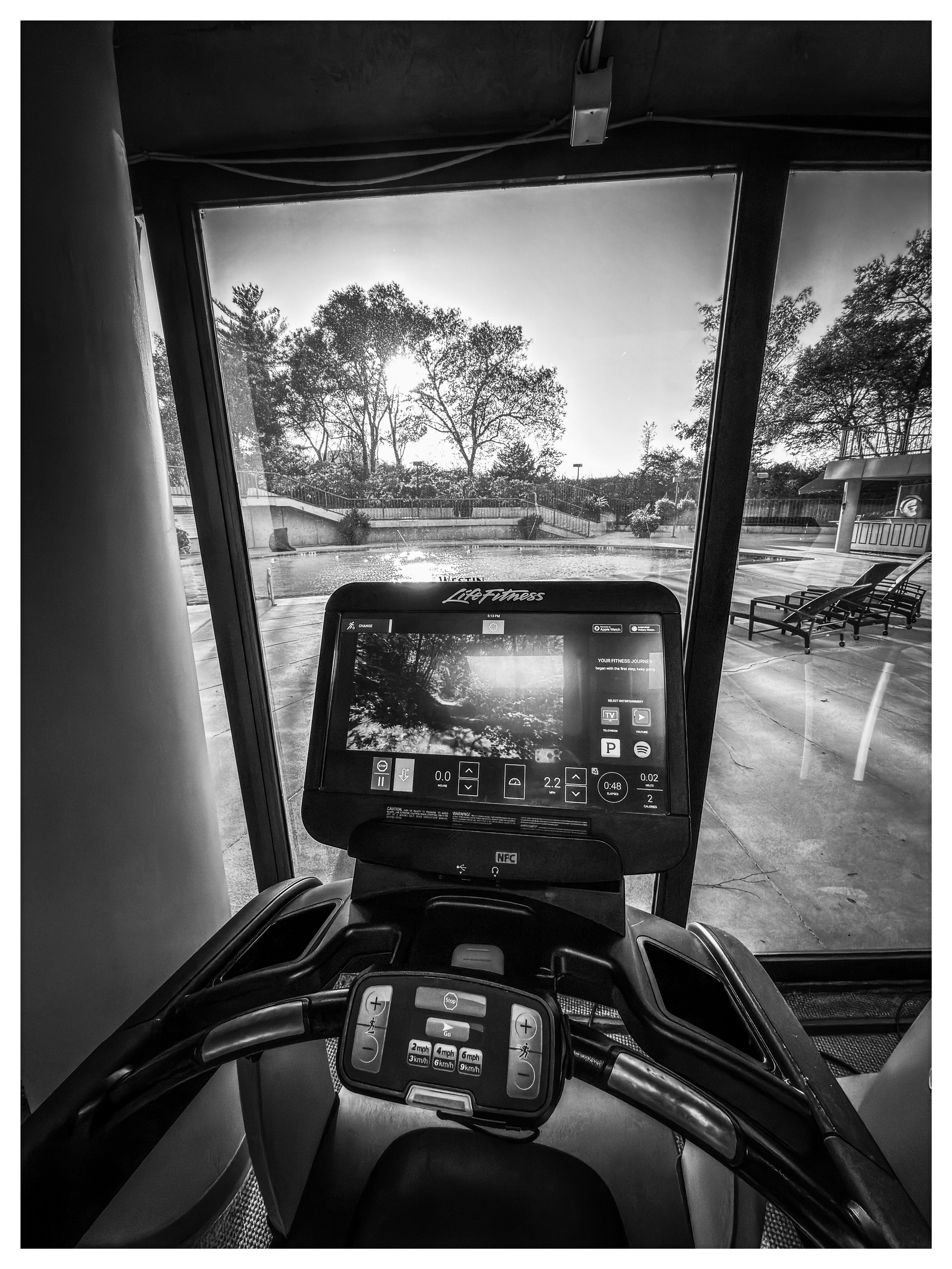 Auto-generated description: A treadmill with a digital display faces large windows overlooking a sunny outdoor area with trees and lounge chairs.