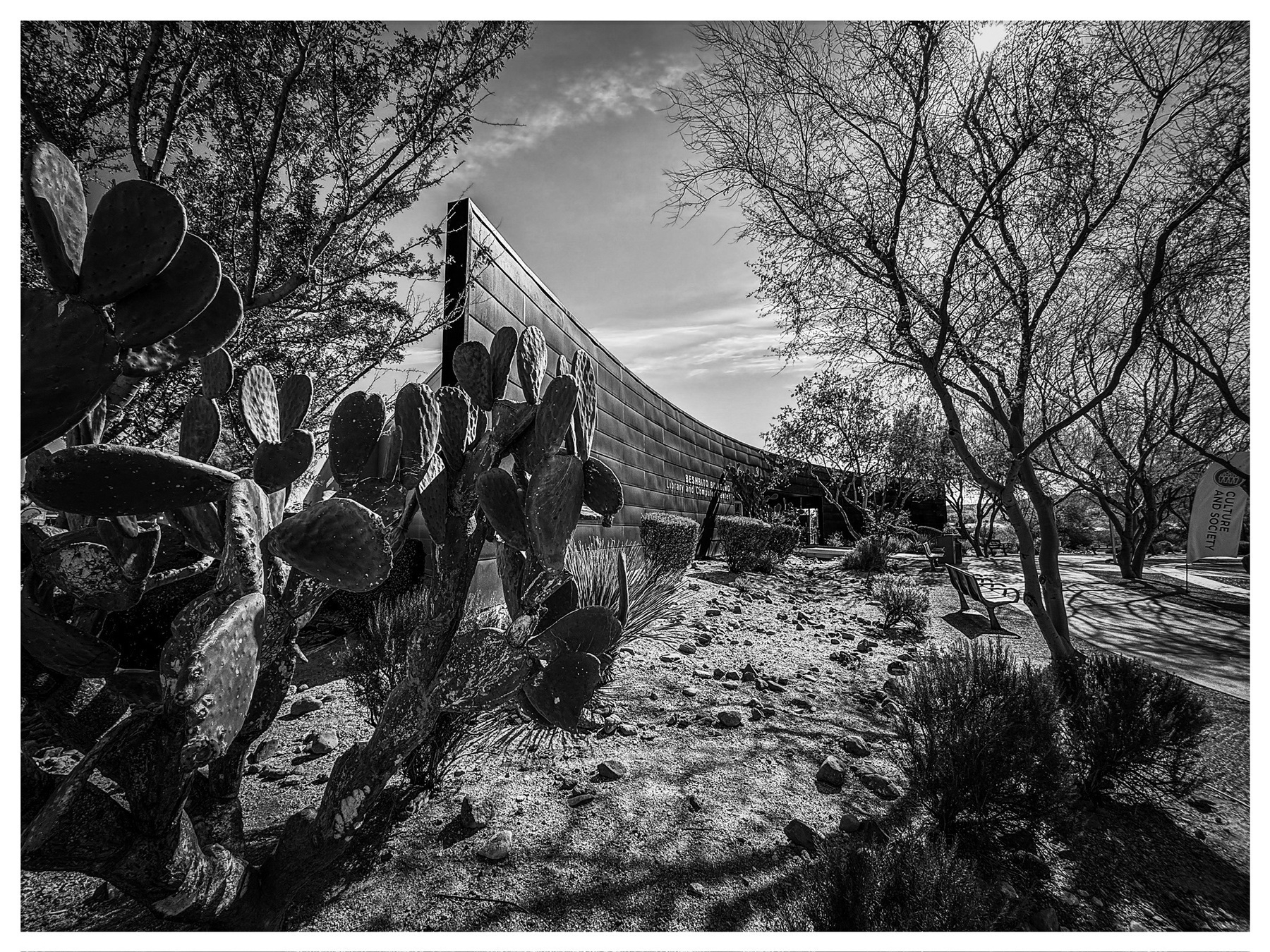 Auto-generated description: A striking architectural structure curves through a desert landscape with cacti and leafless trees in black and white.