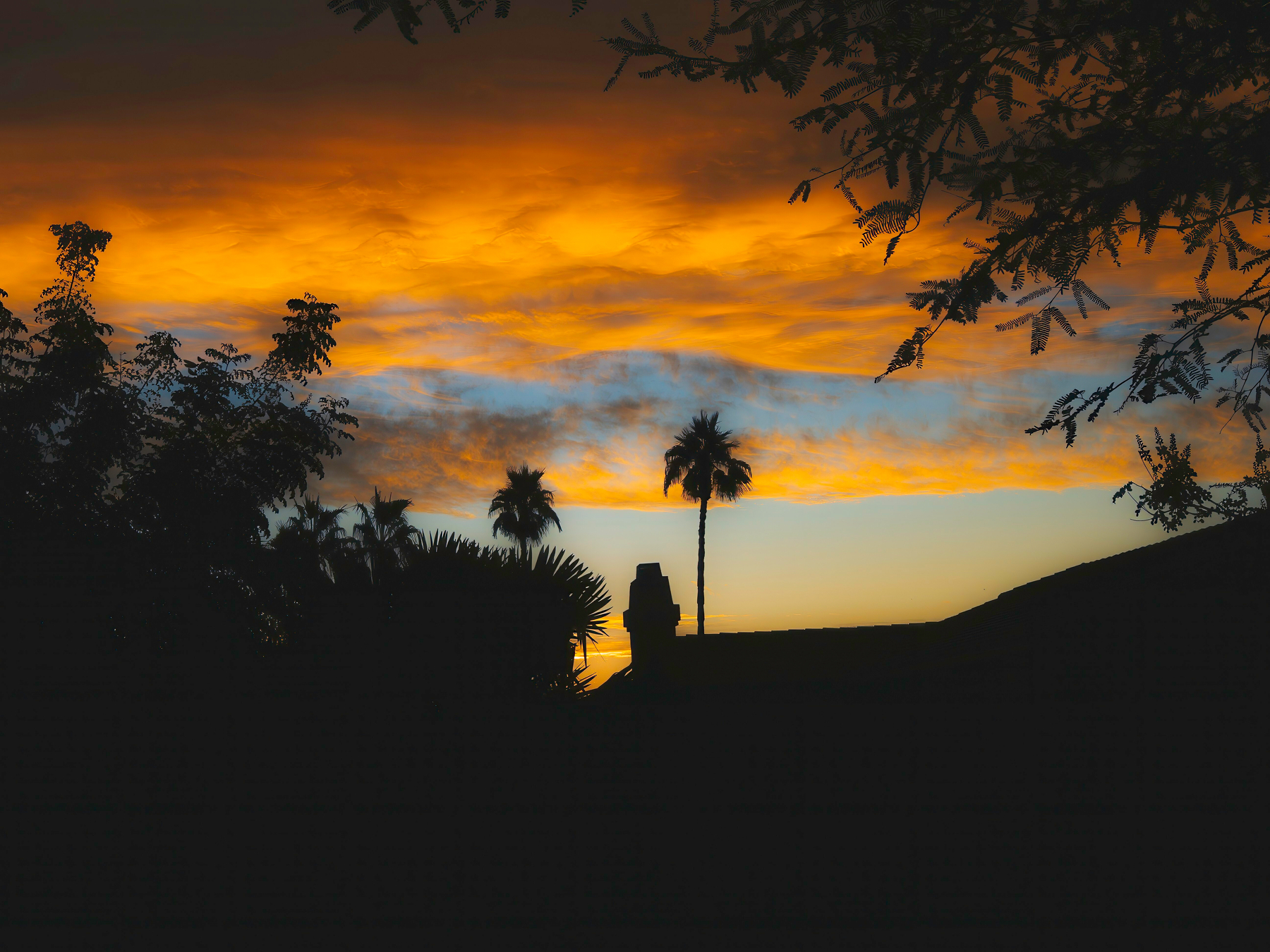 Auto-generated description: Vibrant orange and yellow hues illuminate the sunset sky, silhouetting the palm trees and rooftop in the foreground.