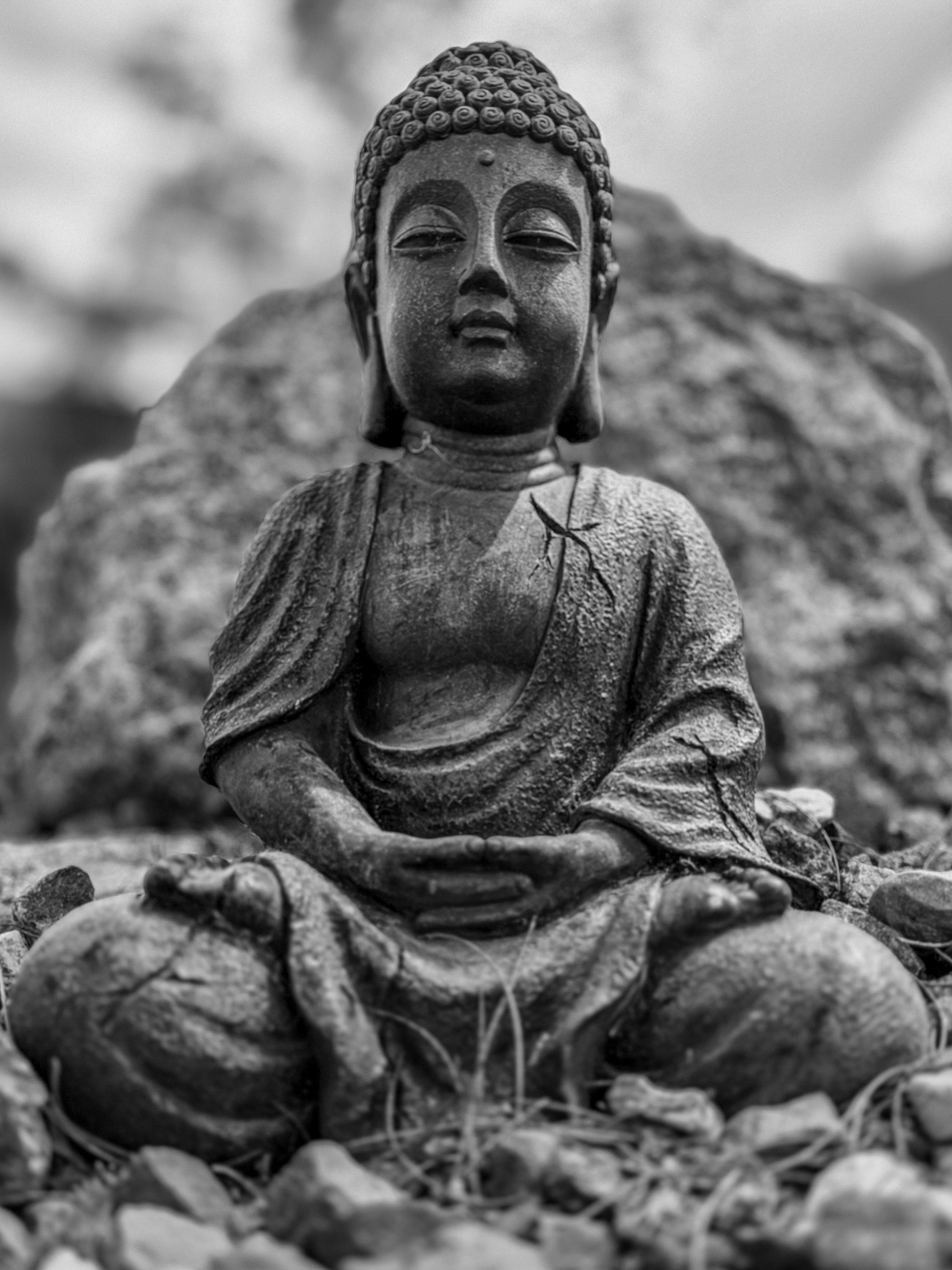 Auto-generated description: A serene Buddha statue is depicted in a seated meditation pose, surrounded by rocks in a black and white setting.