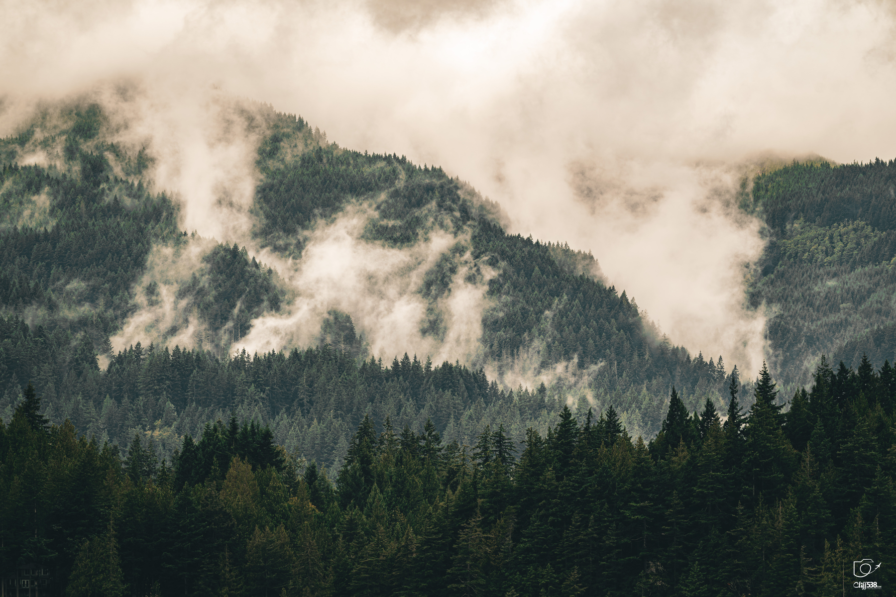 Auto-generated description: Dense evergreen forests cover the slopes of misty mountains under a cloudy sky.